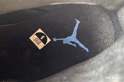 TopPick Jordan 432 Retro UNC 613 384664 6 0701